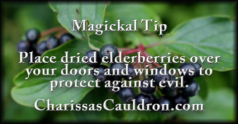 Elderberries for protection