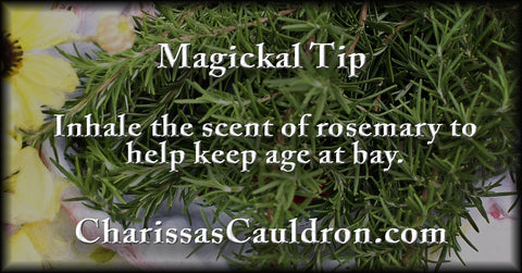 rosemary for aging