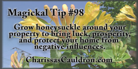 honeysuckle