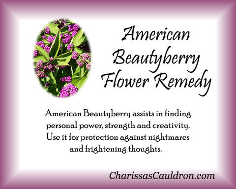 American Beautyberry