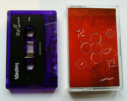 Josh Milrod - Chasing Ghosts - Cassette