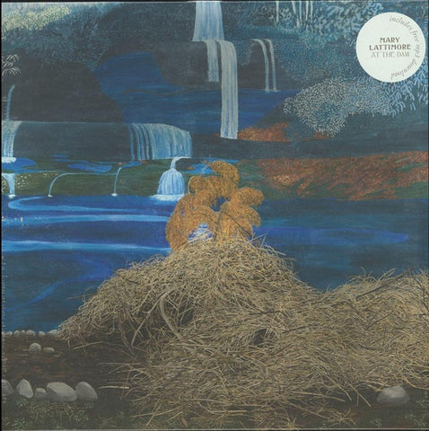 Mary Lattimore ‎– At The Dam - 12" Vinyl LP