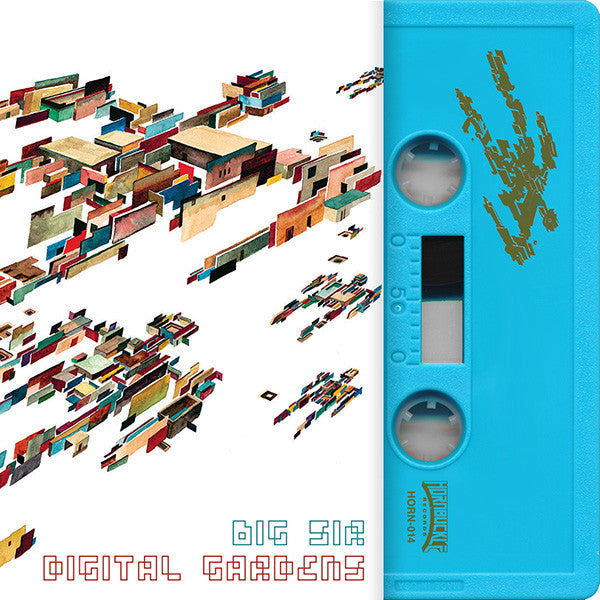 Big Sir - Digital Gardens - Cassette