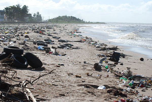 Plastic Pollution on Unknown Beach - Benefits of Drinking Filtered Water - Say No to Plastic