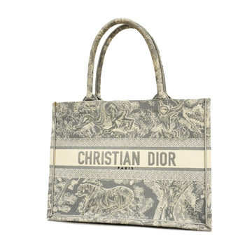 Christian Dior Oblique Embroidered Book Tote Canvas Light Gray
