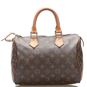 Louis Vuitton Speedy 25 Handbag