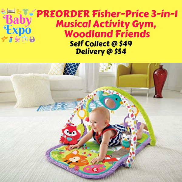 fisher price woodland friends 3 in 1 musical activity gym