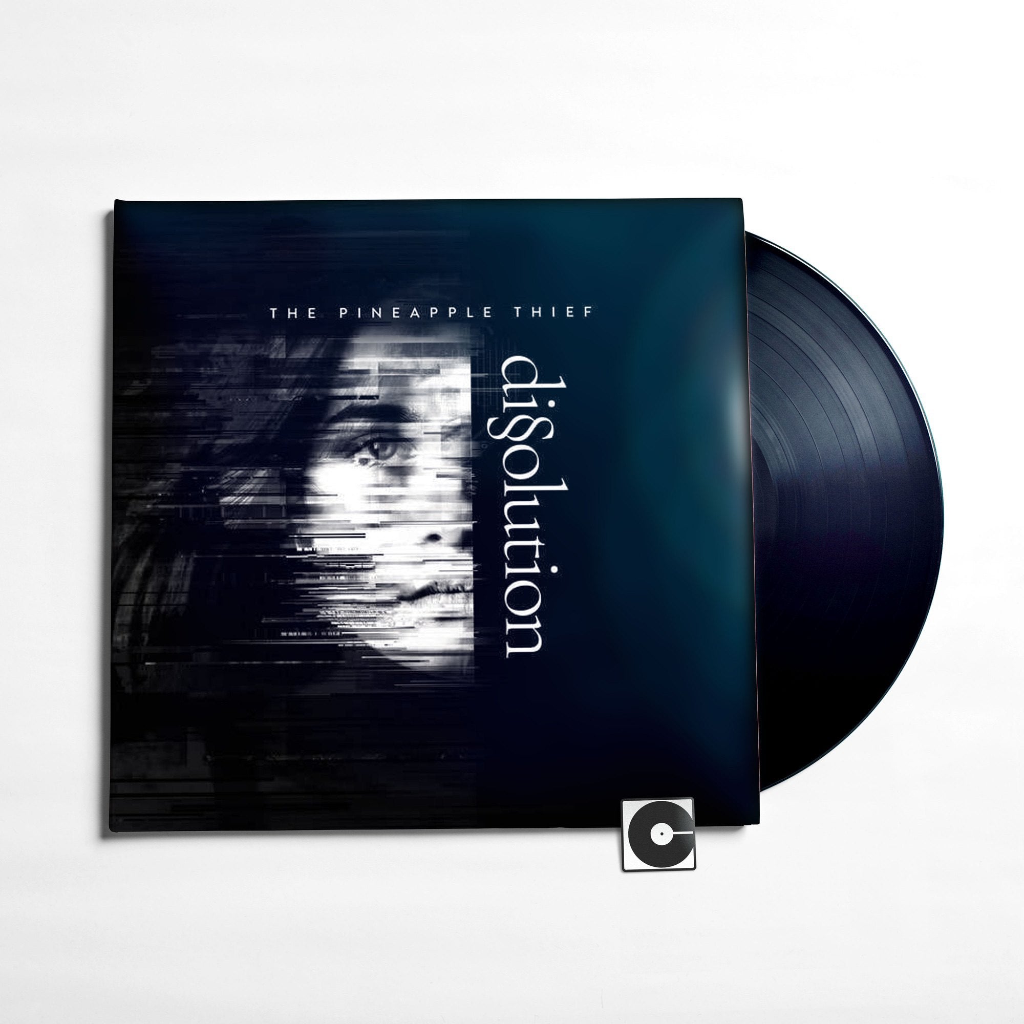 The Pineapple Thief Dissolution Comeback Vinyl 