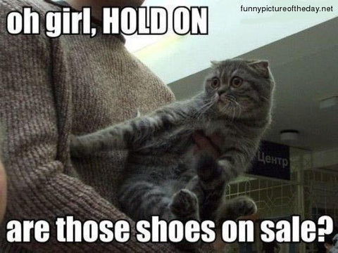 Two Perfect Souls -Are those shoes on sale Cat