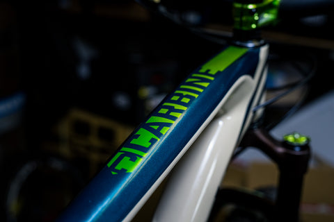 Intense Carbine Chainline Bikes custom build 2018 - Steffi