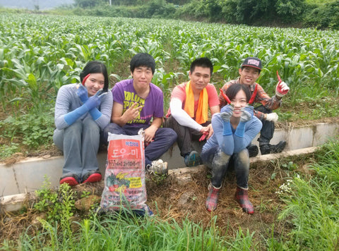 Farming experience in Korea