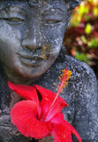 buy Buddhist artwork to improve brain function at www.explosionluck.com