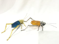 buy lucky crickets to improve your love luck at Explosion Luck