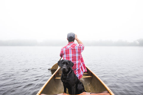 dog in row boat portland pet food company dog behavior