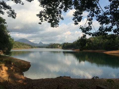 View in Neyyar Kerala
