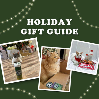 Holiday Gift Guide