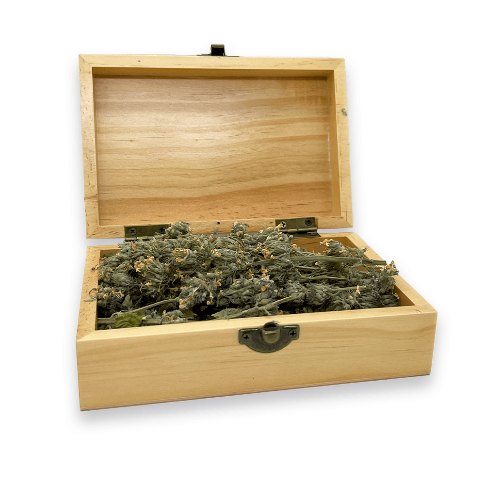 Cigar Box - Grand Daddy Purr Catnip Buds