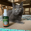 Catnip Spray, 3 oz Bottle