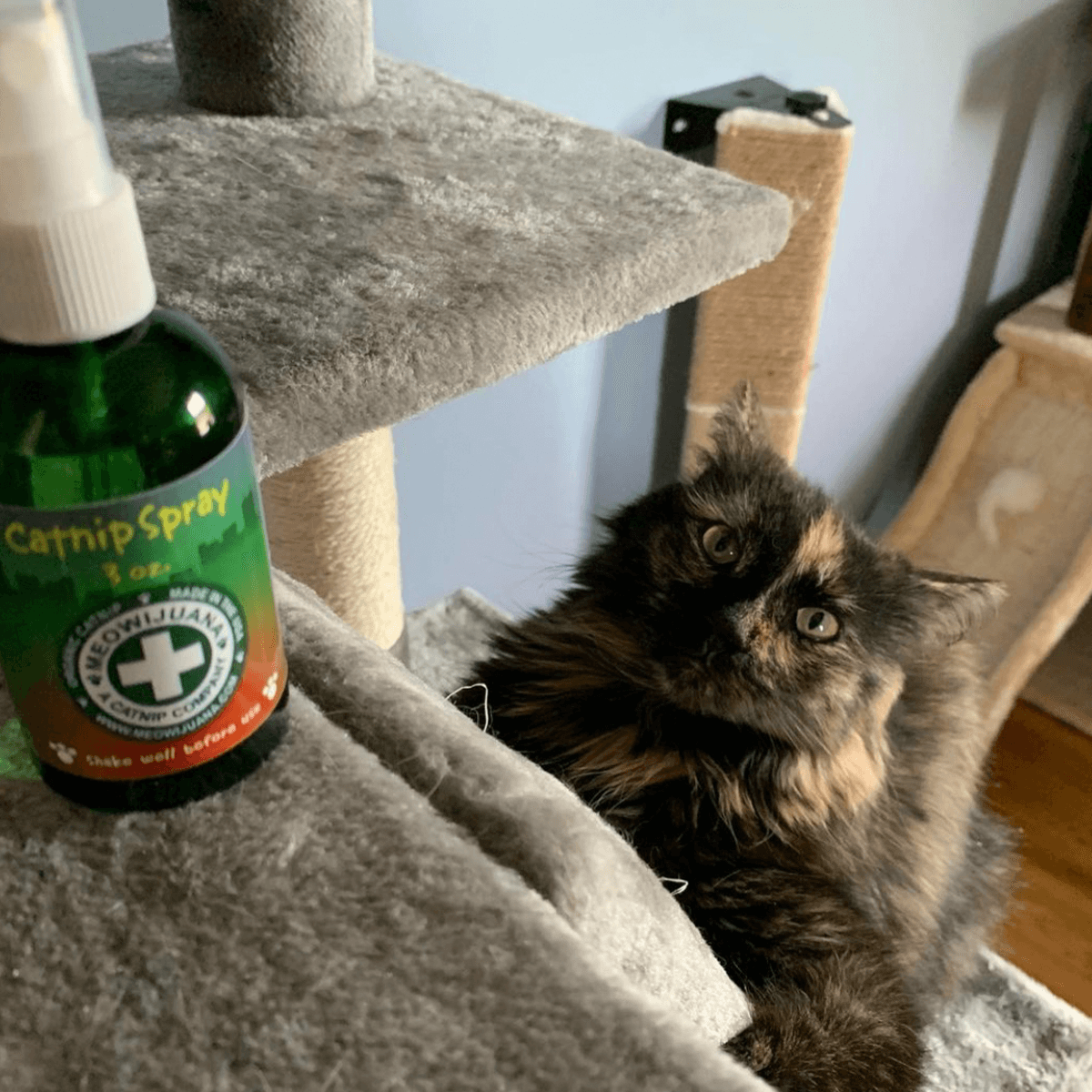 Catnip Spray, 3 oz Bottle