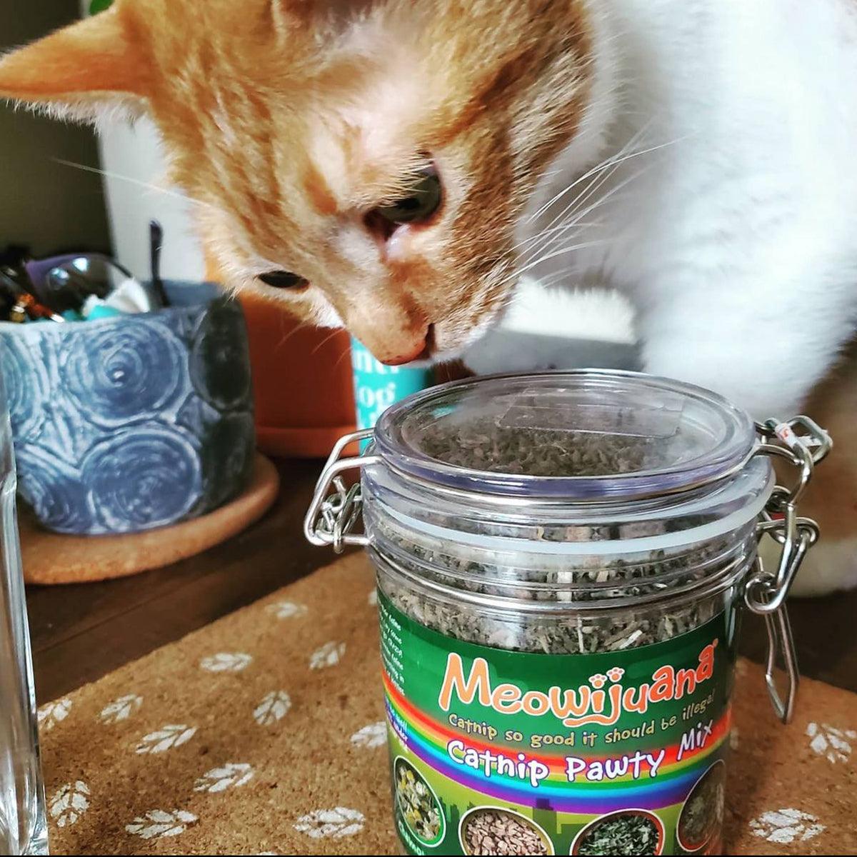 Jar of Catnip Pawty Mix