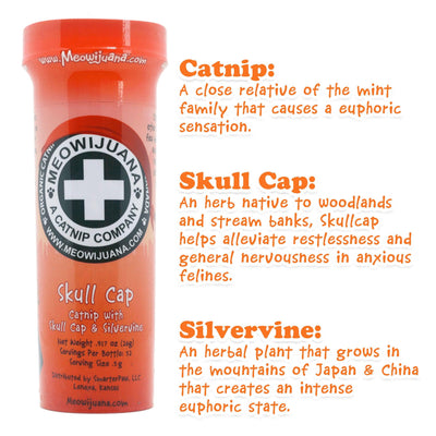 Skull Cap - Catnip, Skull Cap & Silvervine Blend