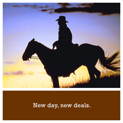 New Products - Cowboy on horse at sunrise