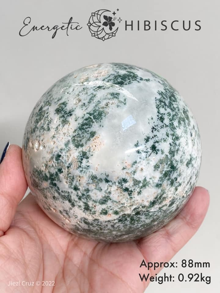 Large Tree Agate Sphere – Energetic Hibiscus