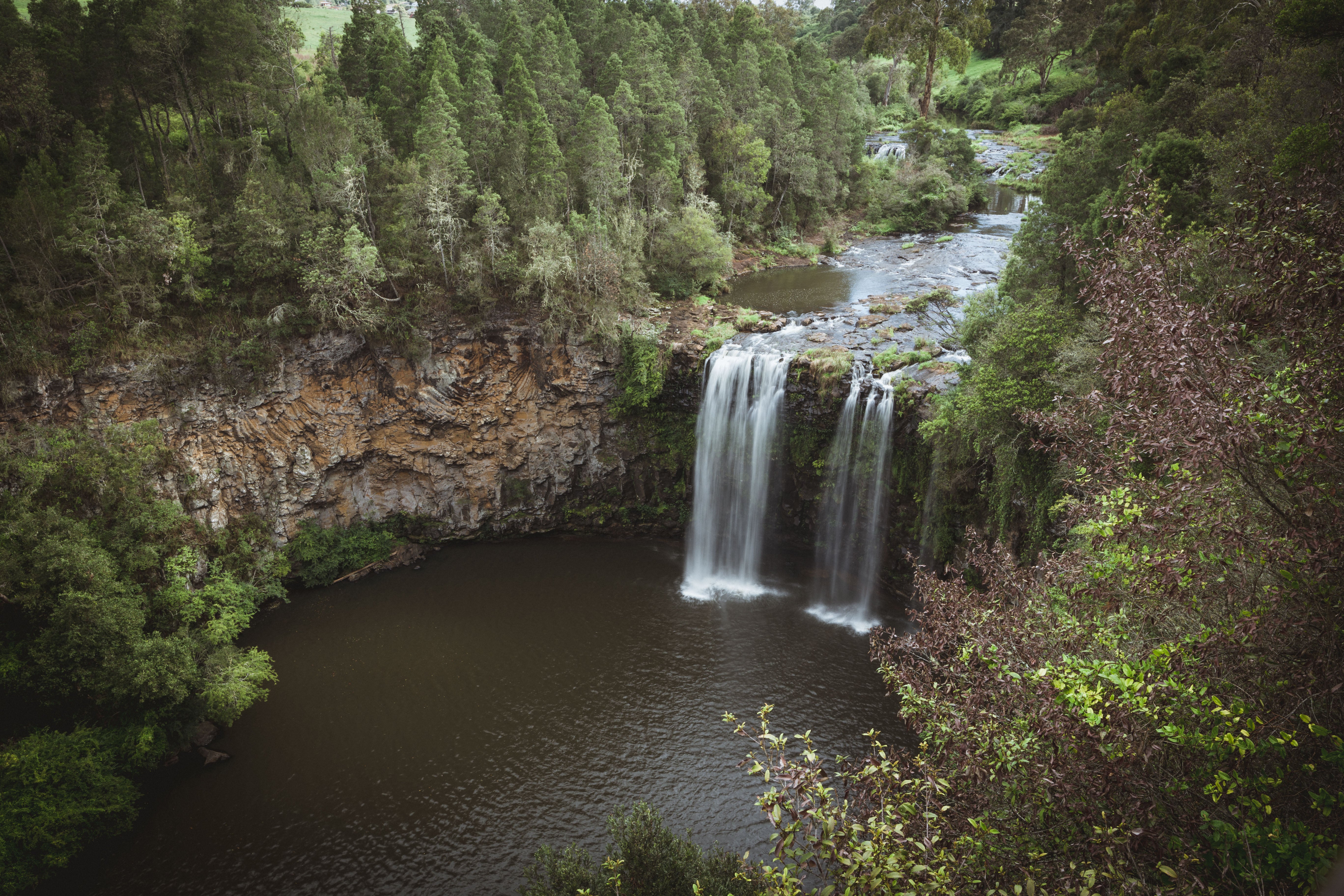 are dogs allowed at dangar falls