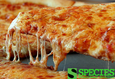 RECIPE : ISOLYZE Protein Pizza