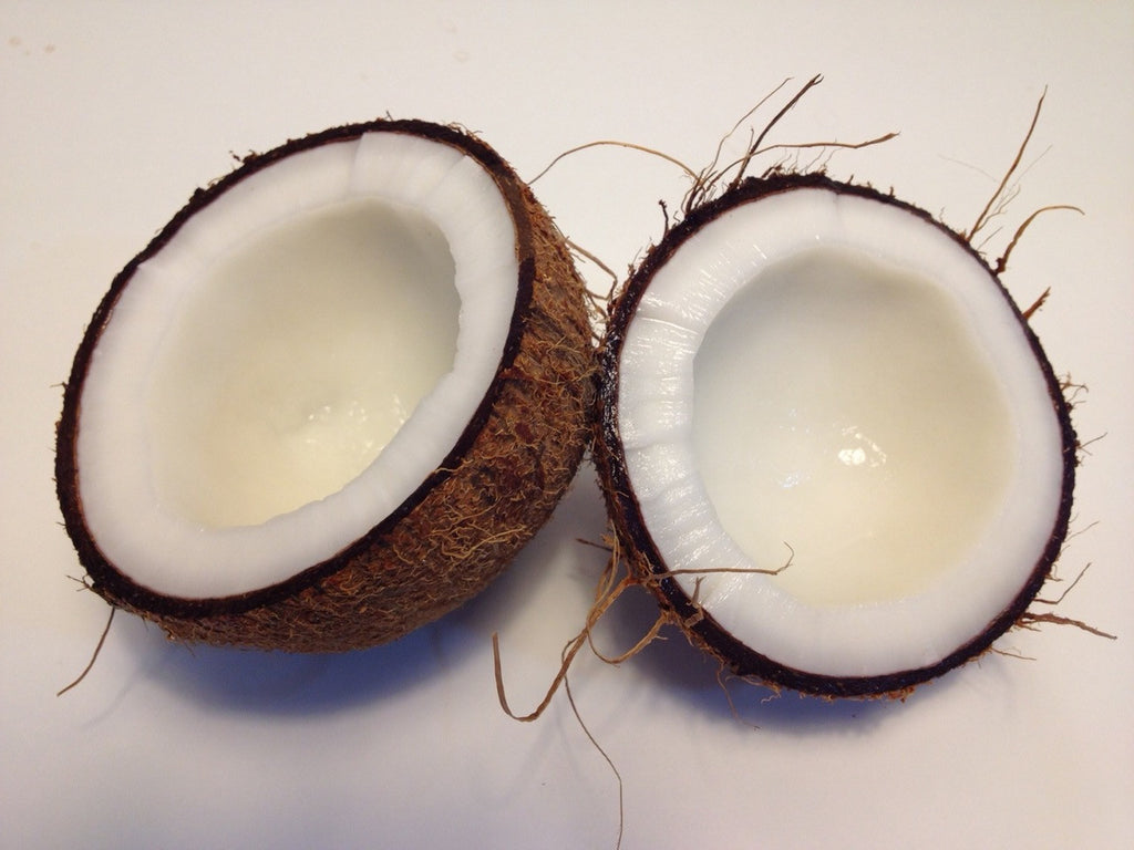 Why We Love Coconut Oil