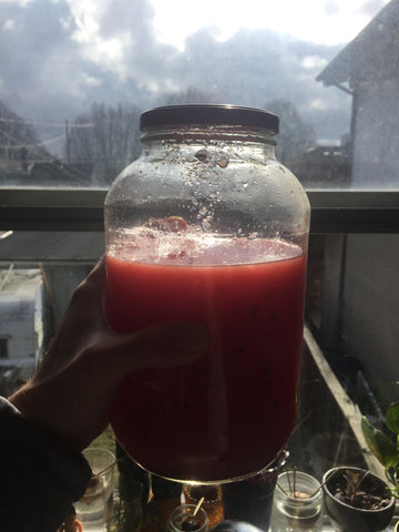 fresh pressed watermelon juice
