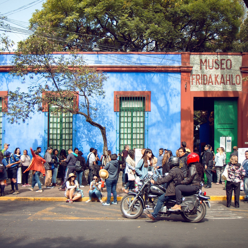 T'zikal All Natural Haircare with Ojon Oil Discover Casa Azul Museo Frida Kahlo