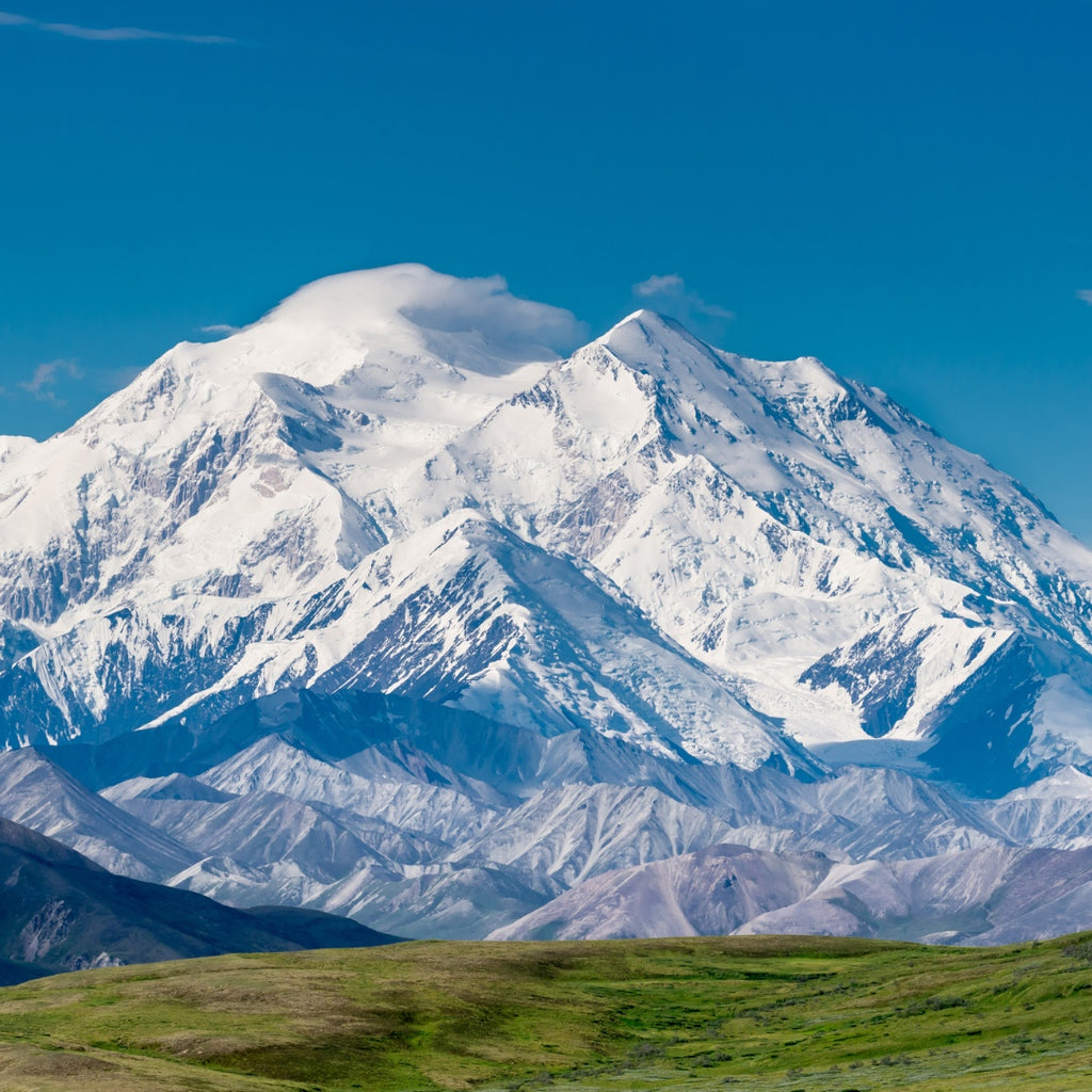 T'zikal All Natural Haircare with Ojon Oil Disover Alaskan Running Cruise Mount Kinley Denali