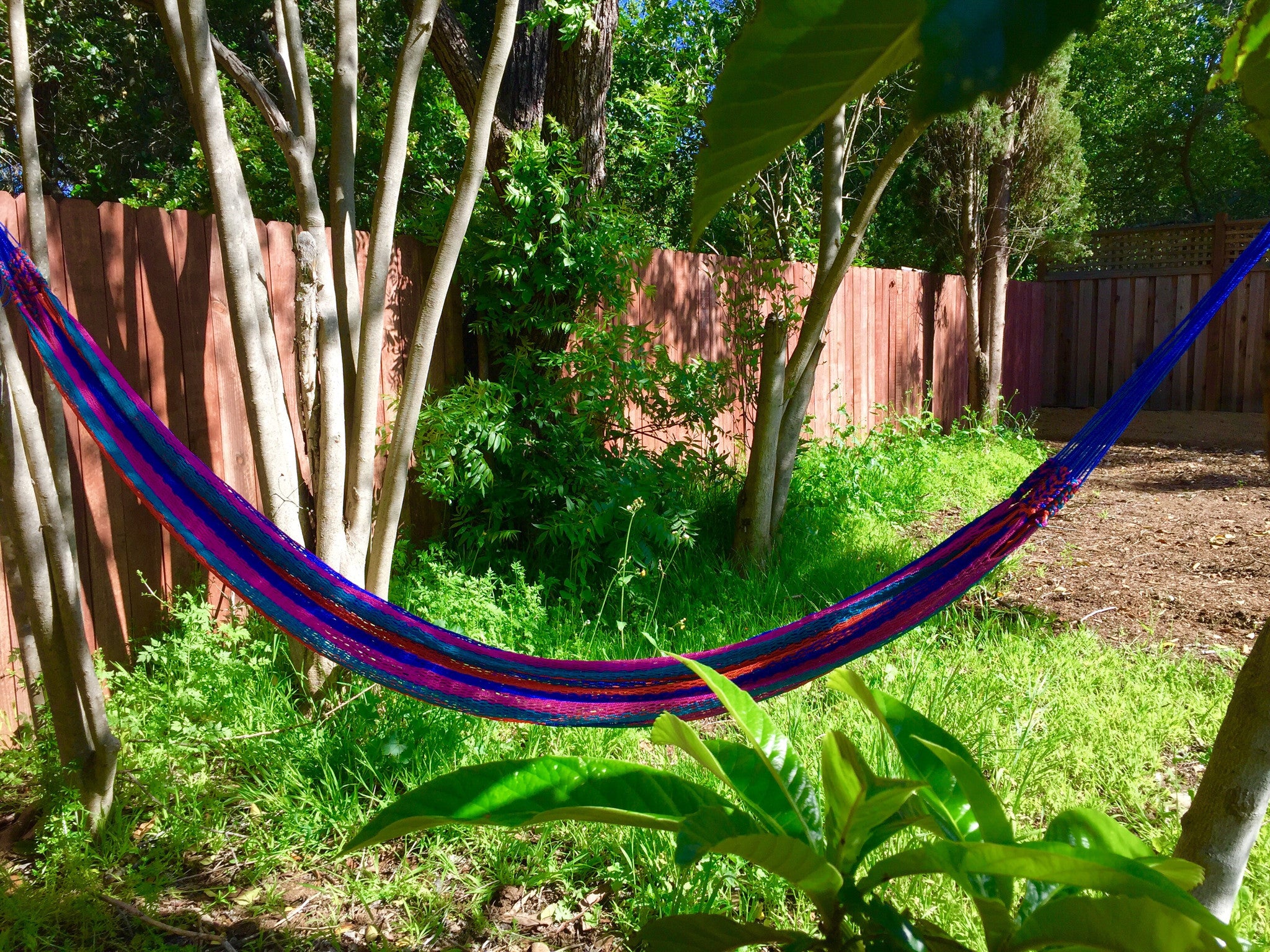 Fiestas del Pueblo Hammock