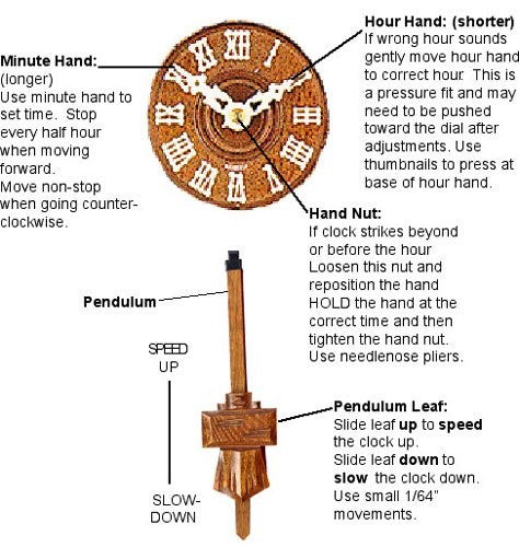 Setting time on cuckoo clock