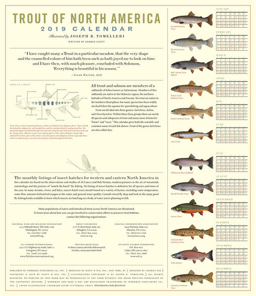 Trout of North America 2019 Calendar – Scott & Nix