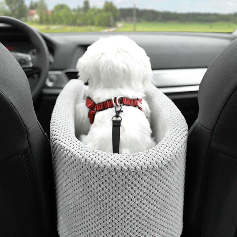 are dog carriers safe