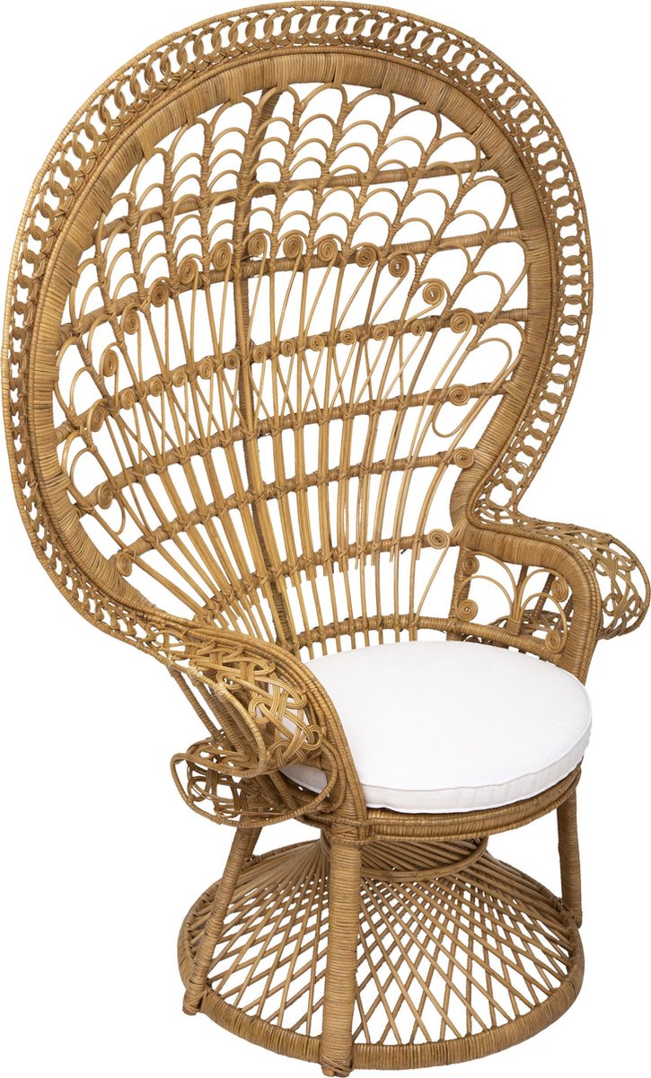 Controverse Romanschrijver Attent Peacock stoel Takta - Rotan stoel met kussen - Pauwstoel - H150 cm - P –  beaubybo