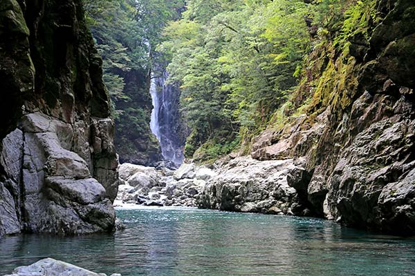 大台ケ原の水 イメージ写真