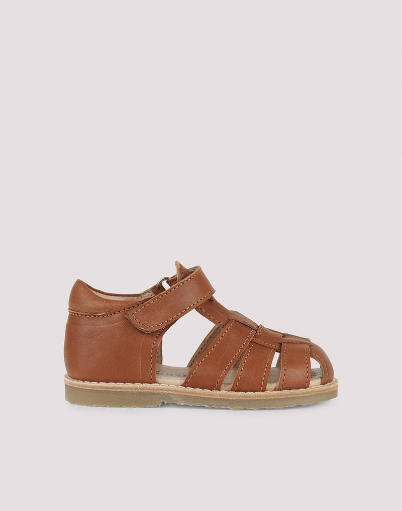 Petit Nord Classic Sandal in Cognac