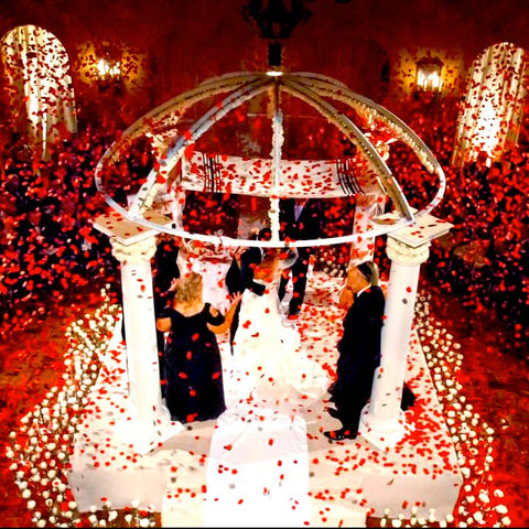 Red petal confetti wedding effect for Jowy Productions