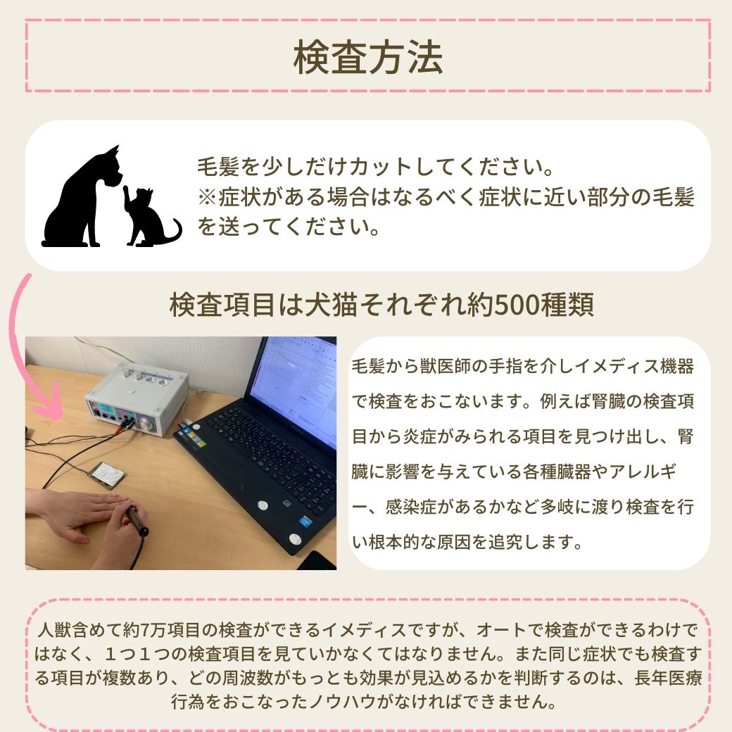 イメディスわんにゃんドック【ストレスチェック】