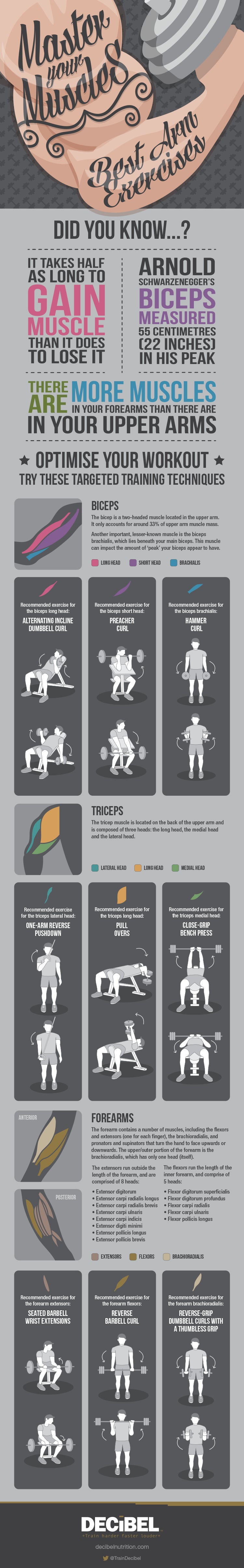 Master Your Muscles: Best Arm Exercises Infographic