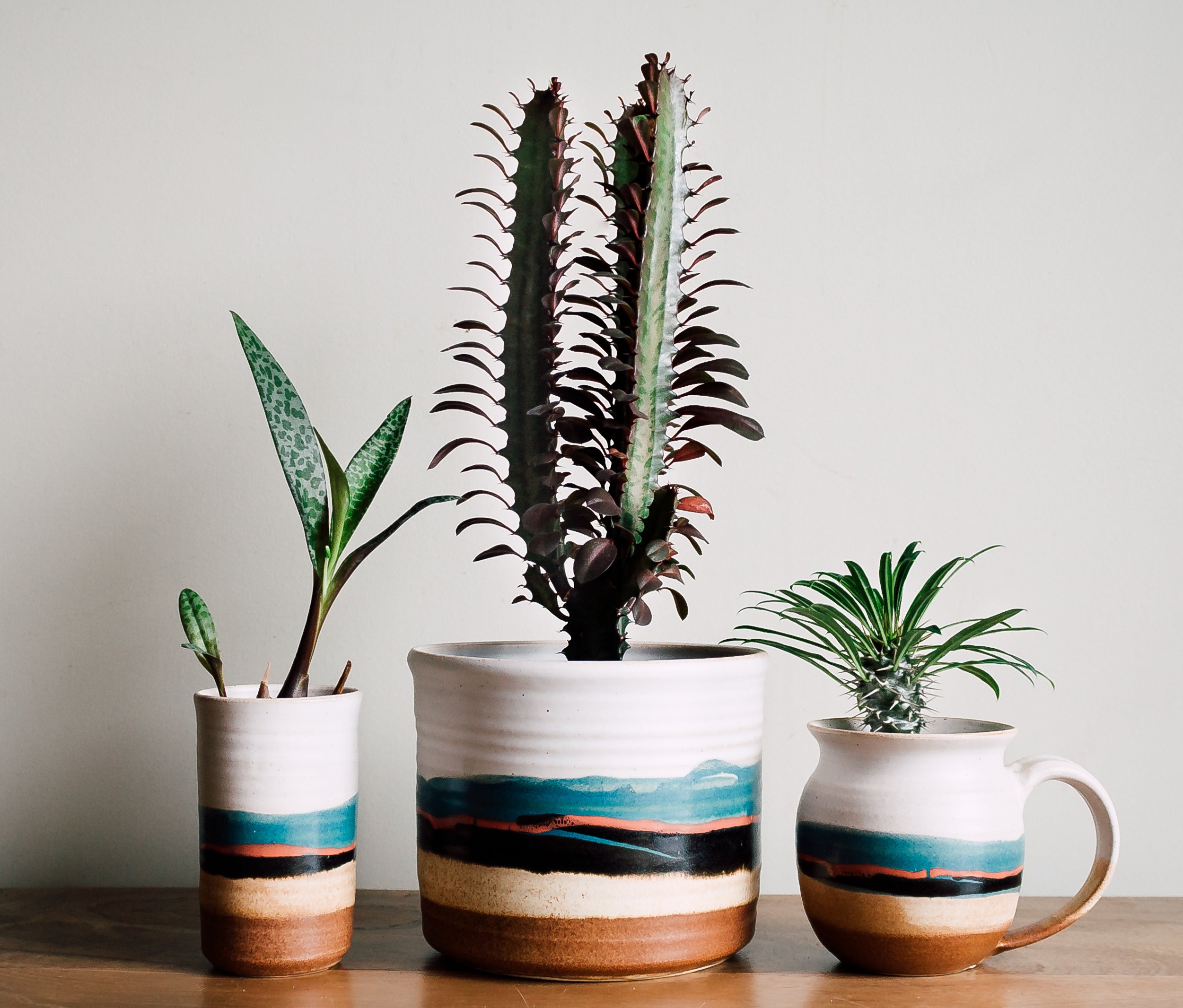 Blue Eagle Ceramics - Pistils Nursery