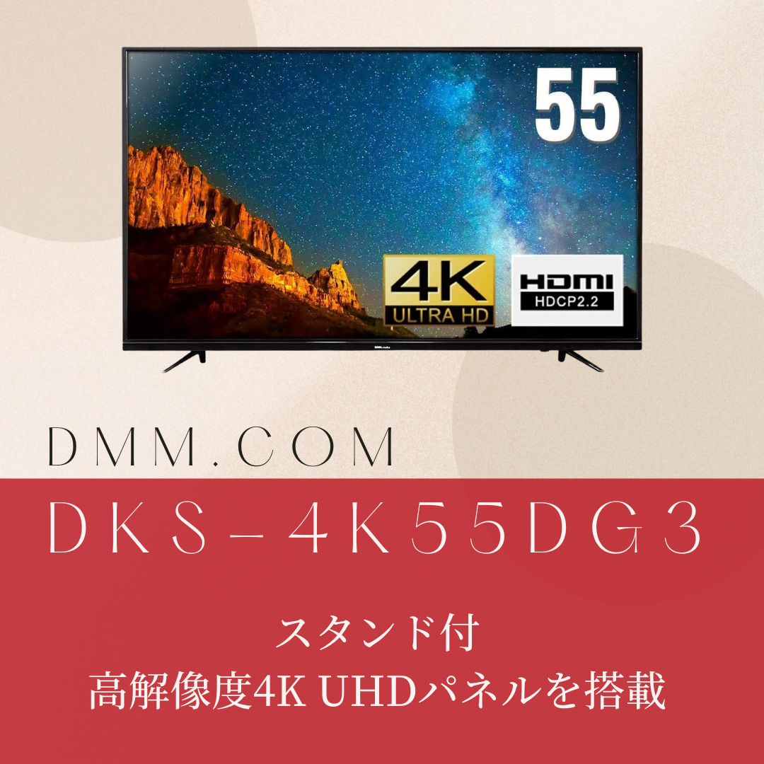 激安ビジネス DKS-4K55D 家電・スマホ・カメラ