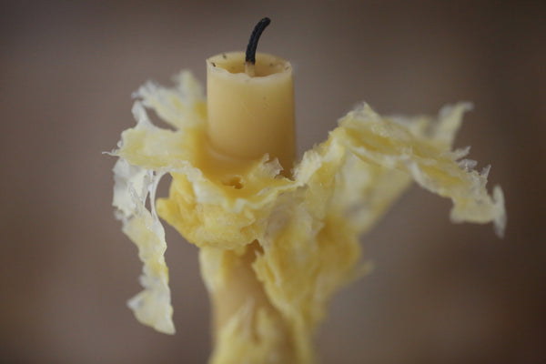 Water Dipped Candle - Candlemas