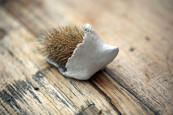 Craft Ideas for Kids Hedgehog Teasel