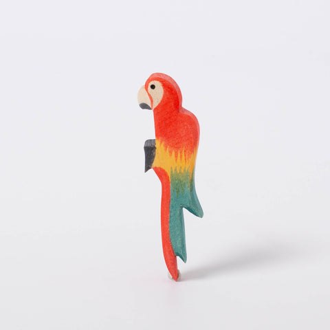 Ostheimer Parrot | Wild Animals of the 