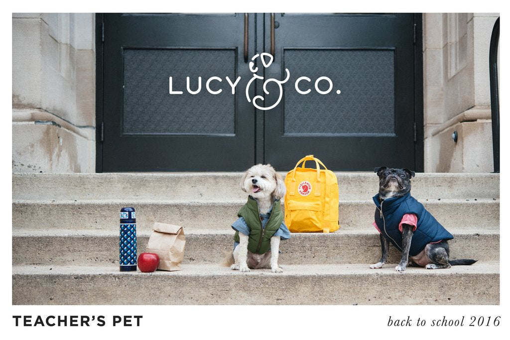 Lucy & Co Dog Threads Button Down Shirts