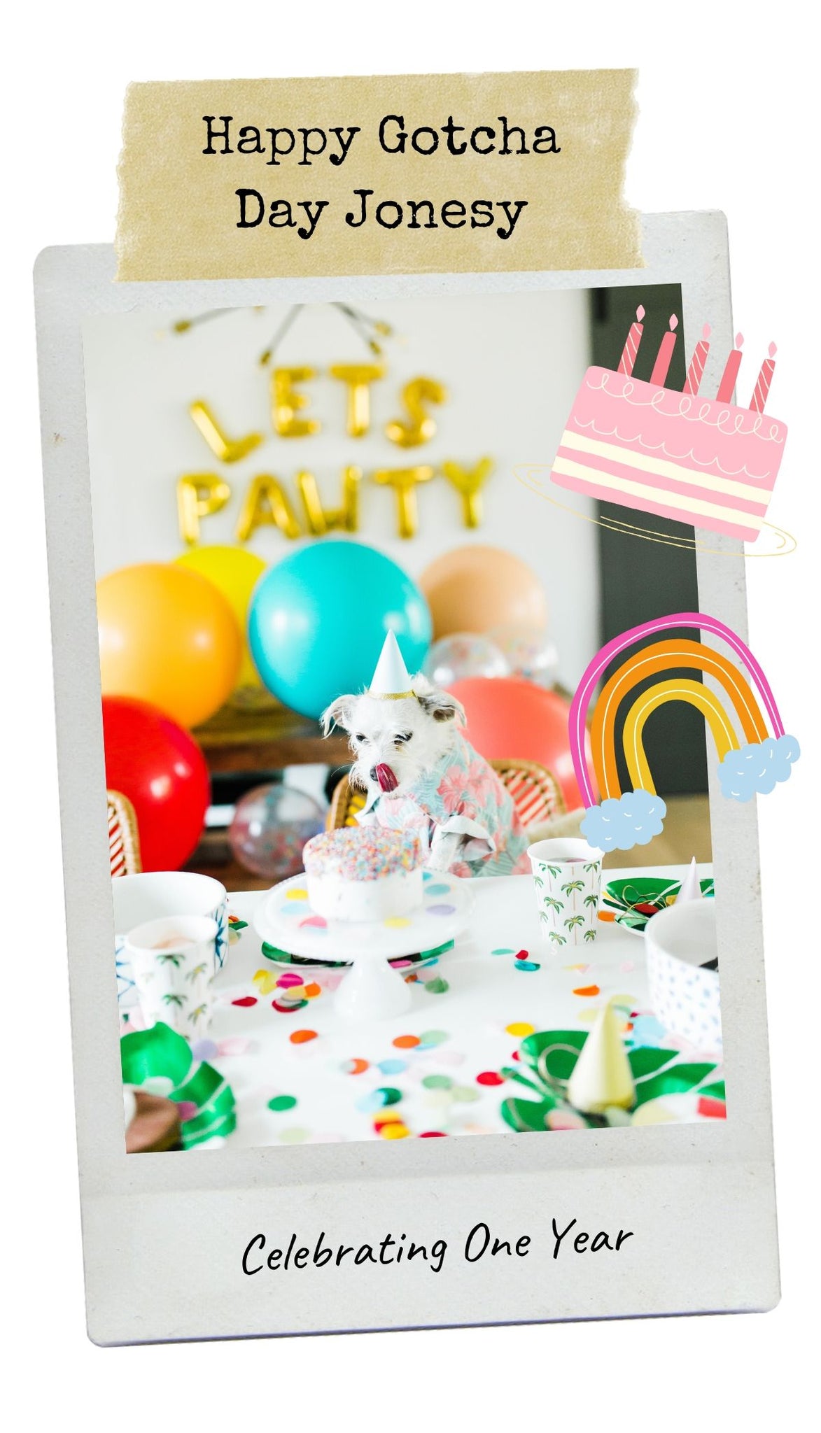 How To Plan Your Dog's Birthday Party or Gotcha Day by Dog Threads